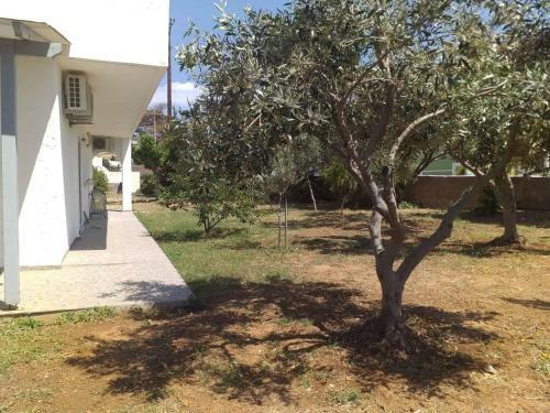 Androshouses - Agios Petros Beach Apartments
