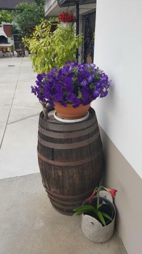 Bed And Breakfast Ai Sassi