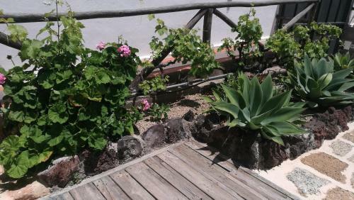 Holiday Home 4 Esquinas