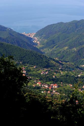 B&B Il Tintore