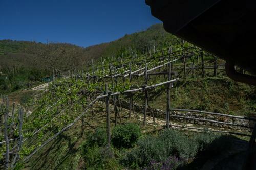 B&B Il Tintore