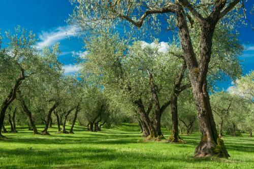 Agroturismo Tenuta Di Santa Lucia