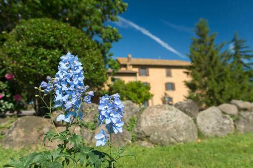Agroturismo Tenuta Di Santa Lucia