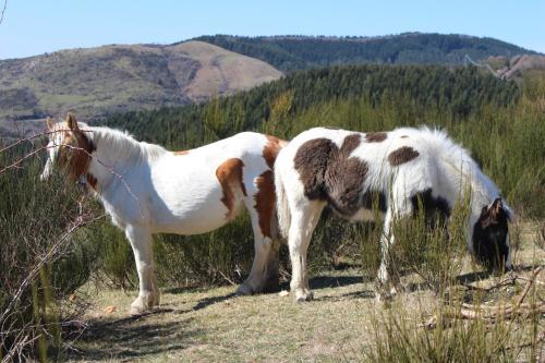 Agroturismo Cuccaro Club