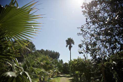 La Serra - Villa De Bonis