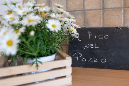 Apartamento Il Fico Nel Pozzo
