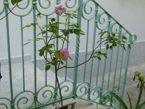 Santucci 1910 - Historic House