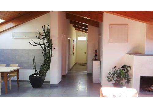 Apartamento Casa Via Verdi