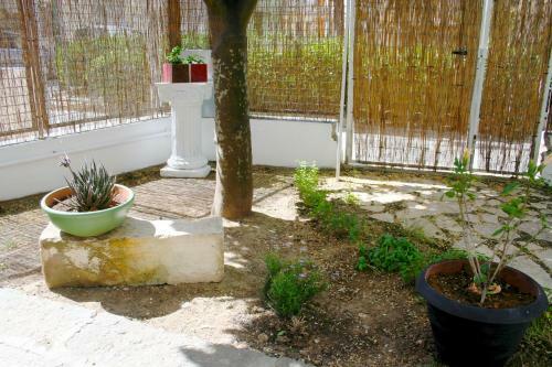 Bed & Breakfast Il Giglio
