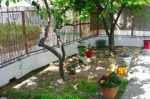 Bed & Breakfast Il Giglio