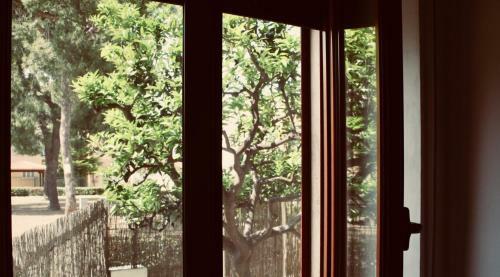 Bed & Breakfast Il Giglio