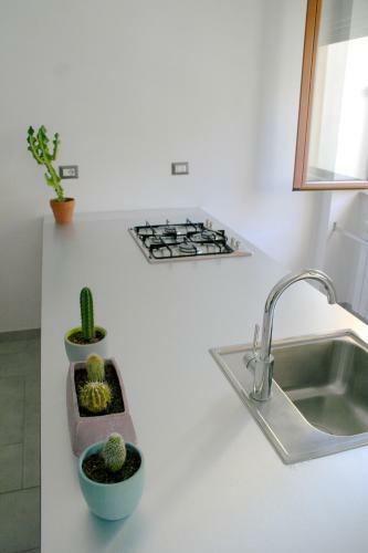 Bed & Breakfast Il Giglio