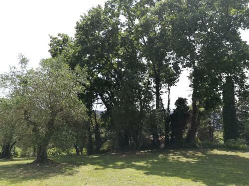 Umbria Country B&B