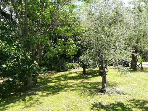Umbria Country B&B