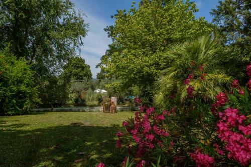 Umbria Country B&B