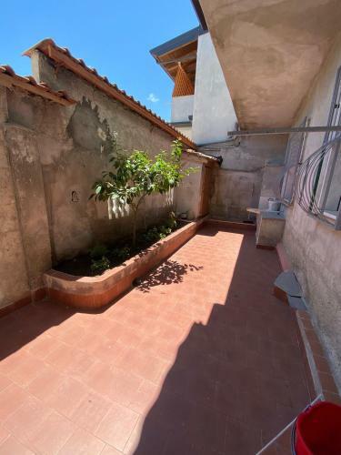 Vulcano Apartment - Gioia Tauro Marina