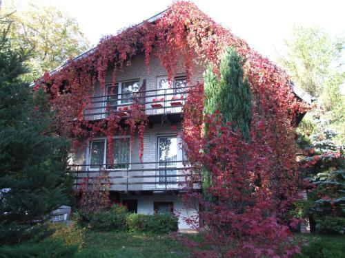 Pokoje I Apartamenty Przy Sosnowej