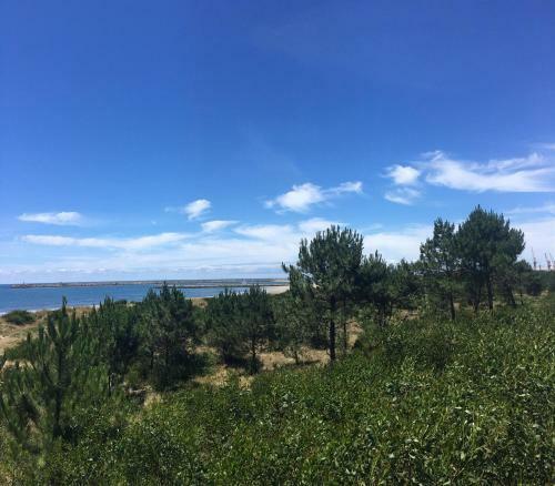 Cabedelo Beach Apartment