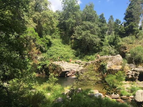 Jardim Da Celeste