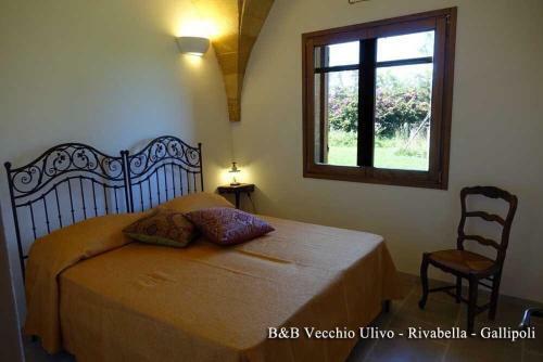 Bed & Breakfast Il Vecchio Ulivo