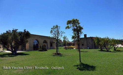 Bed & Breakfast Il Vecchio Ulivo