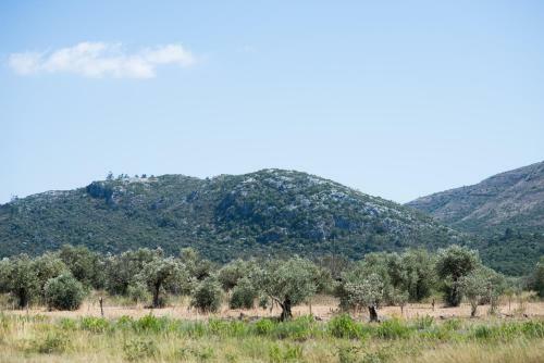 Bed & Breakfast Serra Serena