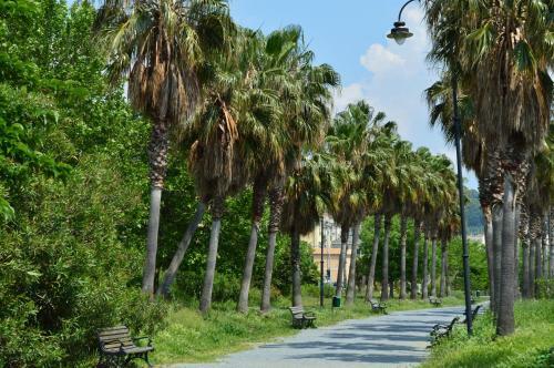 Apartamento Profumo Di Basilico Home