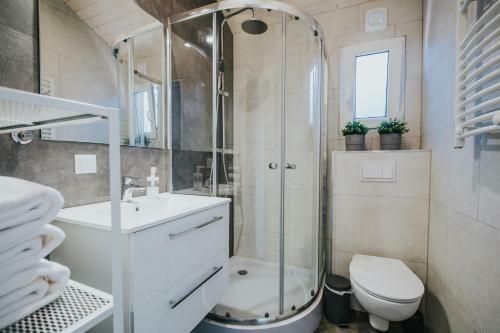 Apartamento Domki Energylandia Zator Przybradz