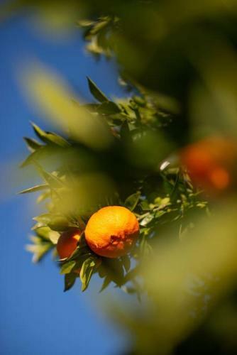 Holiday Home Quinta Do Mirante
