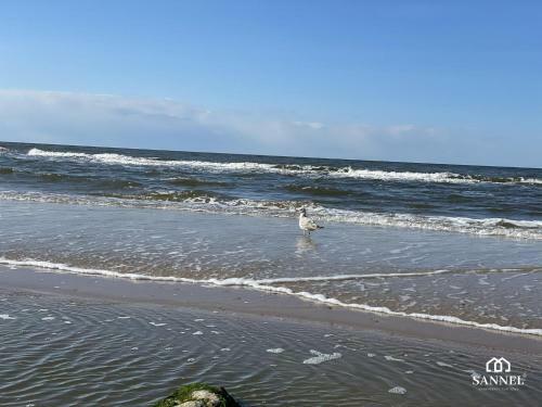 Apartament White Wave - Pinea Apartments Pobierowo