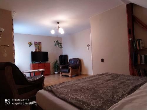 Apartamento Noclegi W Pobli?u Energylandii