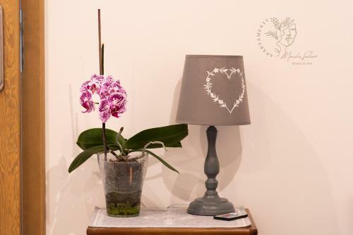 Apartamenty Home&spa
