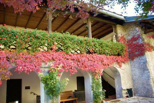B&B Castel Ivano