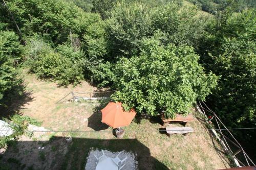 Casa Vacanze Antico Poggio