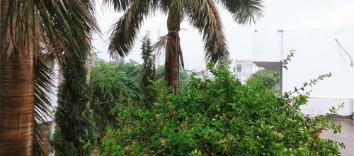 Bhati House A Homestay