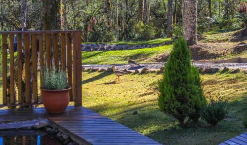 Hostal Chal� Fam�liar Avencal