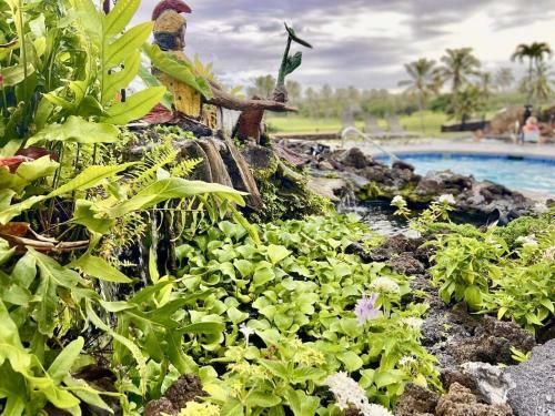 Apartamento Black Sands Beach Condo With Full Kitchen