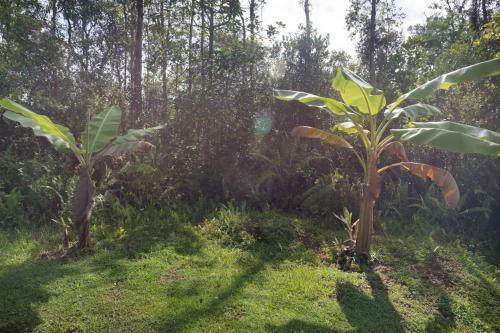 Sunshine House 31 Day Rental