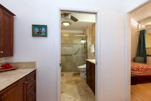 Waikoloa Villas D-204