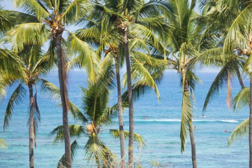 Kahalu'u Beach Villas 1-203