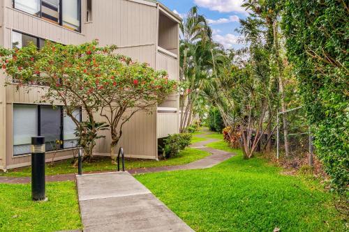 Kailua Bay Resort 3103