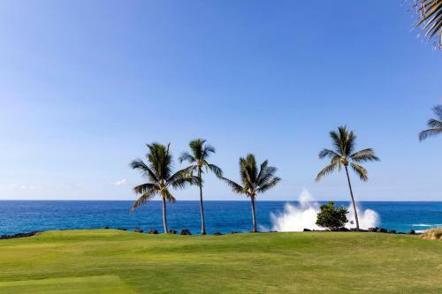 Hale Aloha #34