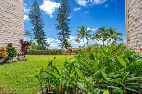 Keauhou Punahele #e105