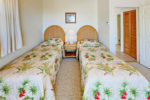 Waikoloa Dreams