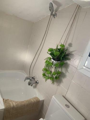 Apartamento Sitio De Mi Recreo
