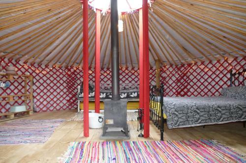 Alder Yurt Wych Elm Glamping