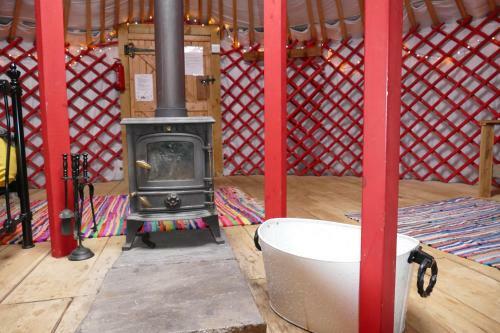 Alder Yurt Wych Elm Glamping