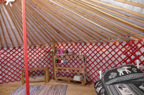 Alder Yurt Wych Elm Glamping