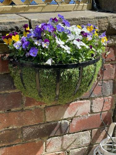 Cute And Cosy 2 Bed Cottage