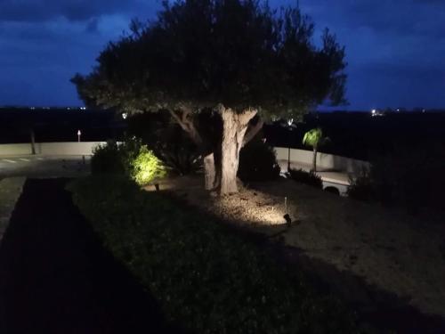 Apartamento Casa De Panorama